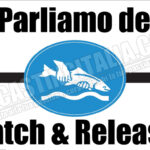 Parliamo del Catch & Release