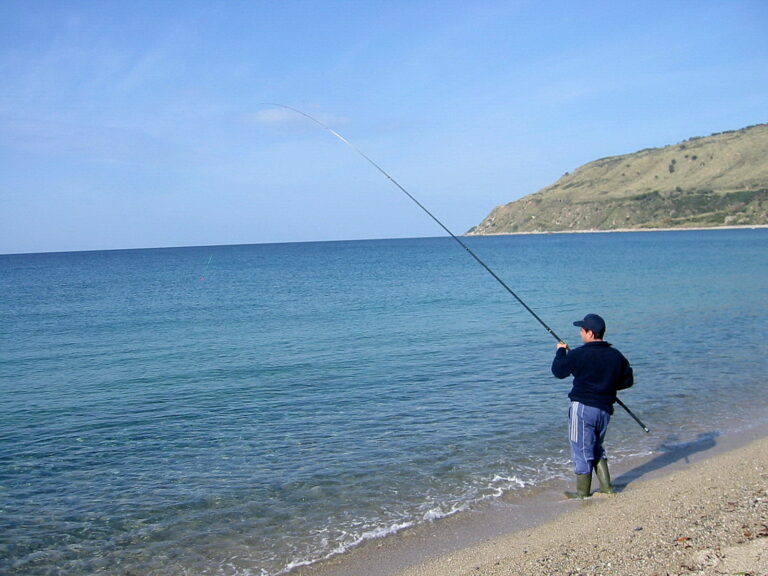 Assetto per il surfcasting diurno