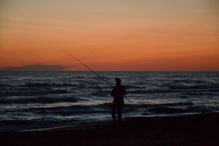 Assetto per il surfcasting notturno